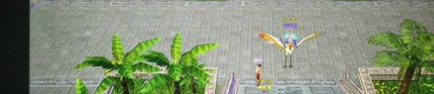 天龍私服興起背景與問題解析：為何玩家選擇非官方服務(wù)器