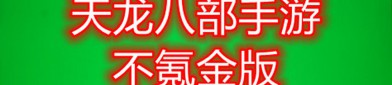天龍私服的定義、風(fēng)險(xiǎn)與版本類型解析：玩家必讀指南