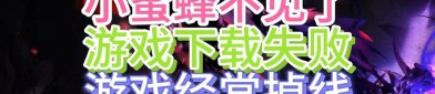天龍私服玩法與風(fēng)險(xiǎn)解析：快速升級、獨(dú)特副本與賬號安全問題